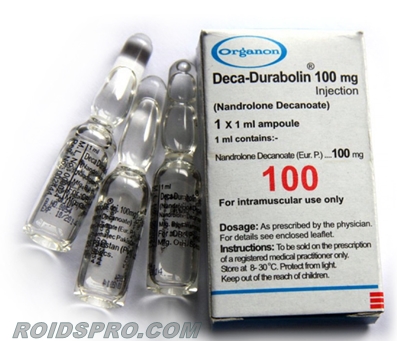 Deca Durabolin Organon